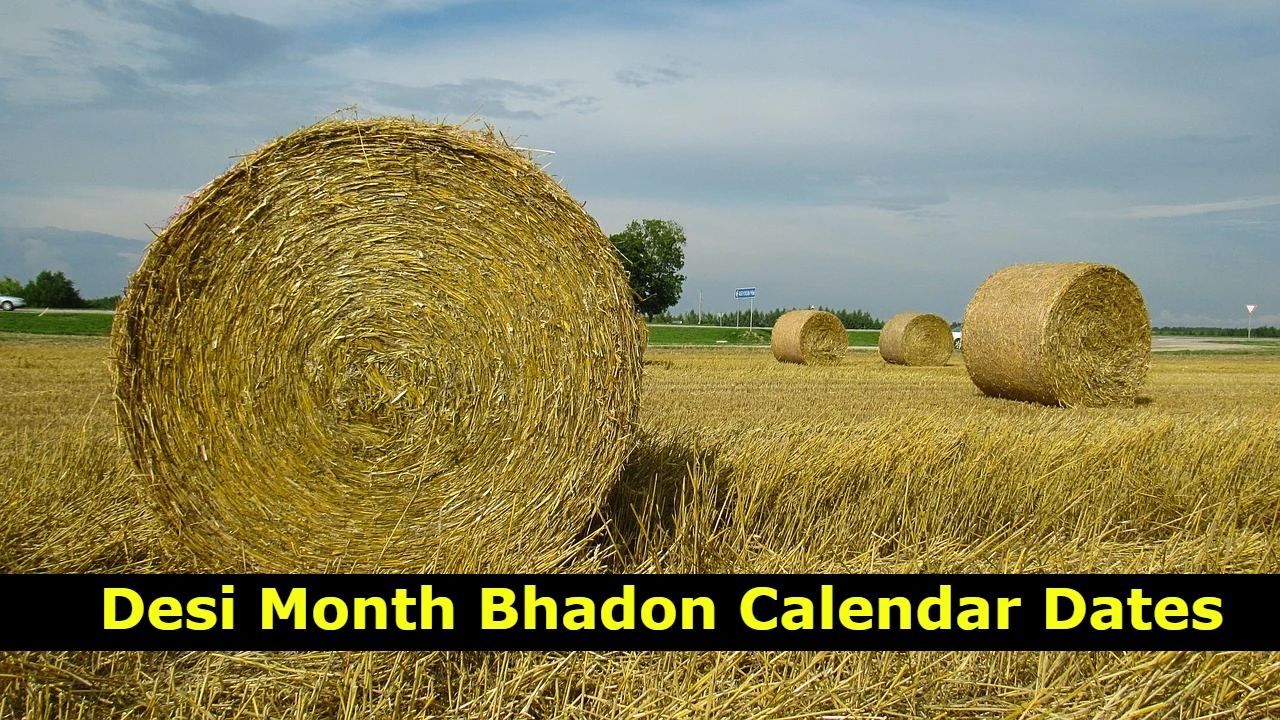 Desi Month Bhadon Calendar Dates 2024